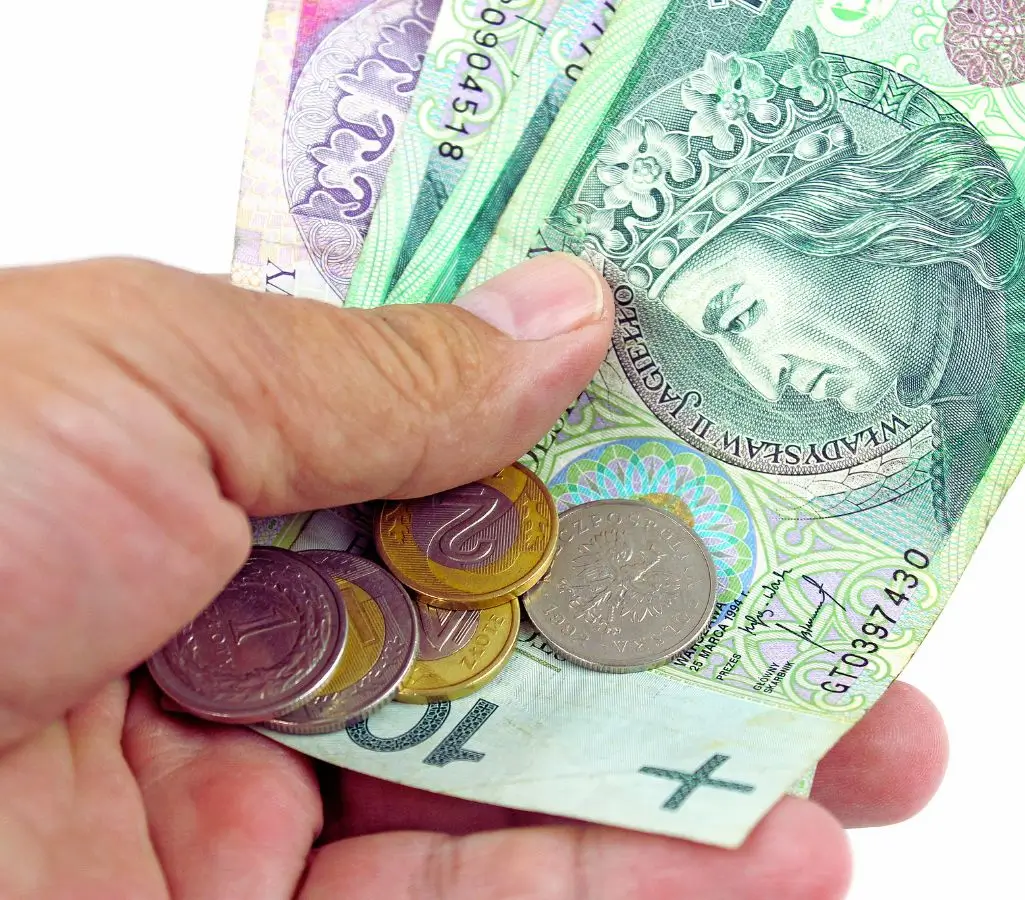 Obrazek wyróżniający do artykułu - ile pracodawca dostaje za pracownika z grupą inwalidzką. Na zdjęciu widać dłoń trzymającą kilka polskich banknotów i monet. Wśród banknotów wyróżnia się zielony nominał 100 zł. Monety w dłoni to złote i srebrne polskie grosze oraz dwuzłotówki. Obrazek odzwierciedla codzienną czynność – liczenie pieniędzy, która może budzić różne emocje, od satysfakcji, po troskę czy refleksję nad wydatkami. Pojawia się poczucie chwili, w której człowiek mierzy się z finansową rzeczywistością, mogąc odczuwać zarówno pewność, jak i niepewność, zależnie od sytuacji.